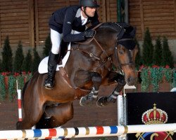 jumper High Quality vd Guldennagel (Belgian Warmblood, 2007, from Quality 9)