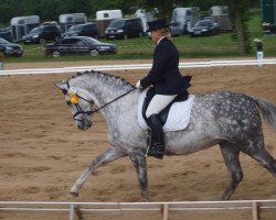 broodmare Die Da 11 (Oldenburg, 2003, from Don Rubin 3)