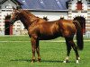 stallion Arpege Pierreville (Selle Français, 1988, from Uriel)