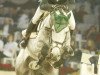 stallion Carre d'As Z (Zangersheide riding horse, 1998, from Carthago)