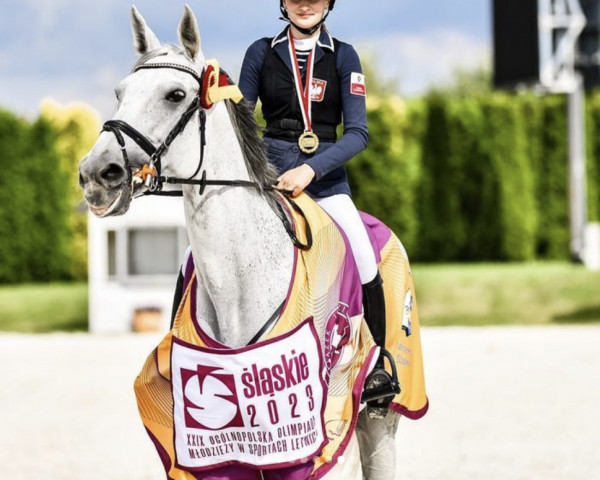 jumper Uraca II (Oldenburg show jumper, 2010, from Baloussini)