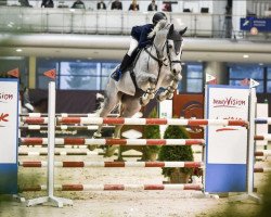 jumper Challenger (Hungarian Warmblood, 2012, from Agropoint Cassiloc)