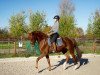 dressage horse Fräulein Fine 4 (Rhinelander, 2018, from Flashback 8)