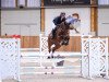 jumper Adele 129 (Oldenburg show jumper, 2018, from Armison)