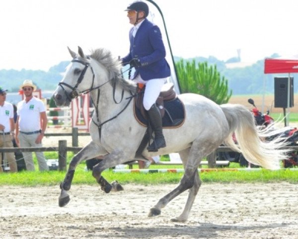 broodmare Unerose des Closets (Selle Français, 2008, from Mylord Carthago)