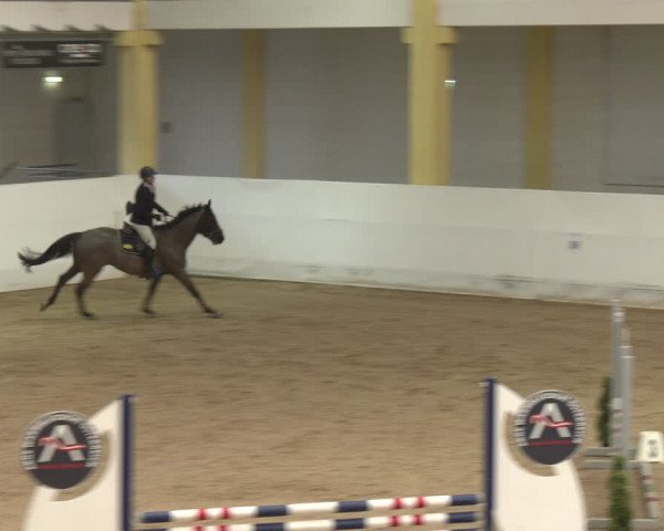 Reitturnier Stadl-Paura 2024