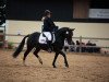 jumper Jana (German Riding Pony, 2017, from Lucky257)