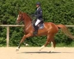 broodmare Isa de Kerglenn (Selle Français, 2018, from Balou du Rouet)