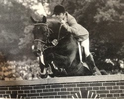 stallion Grandeur (Hanoverian, 1978, from Gralsritter)