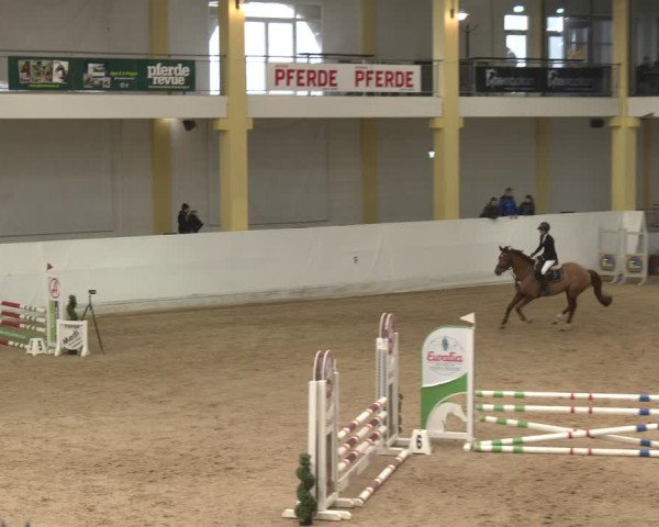 Reitturnier Stadl-Paura 2024
