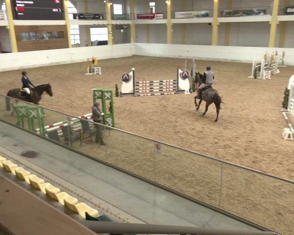 Reitturnier Stadl-Paura 2024
