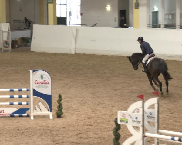 Reitturnier Stadl-Paura 2024