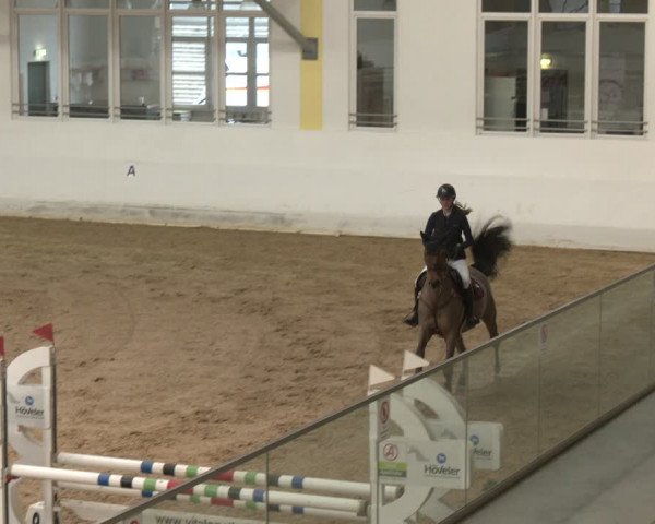 Reitturnier Stadl-Paura 2024