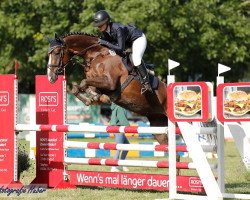 jumper Doro Princess J (Hanoverian, 2014, from Dannebrog)