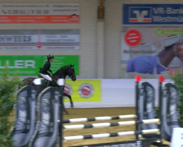 Reitturnier Borken 2024