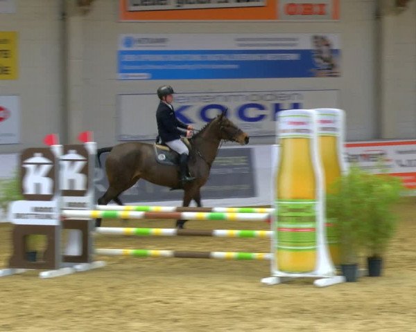 Reitturnier Borken 2024