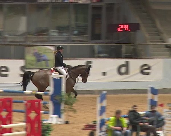 Reitturnier Kreuth/Opf. 2024