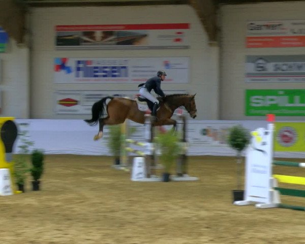 Reitturnier Borken 2024