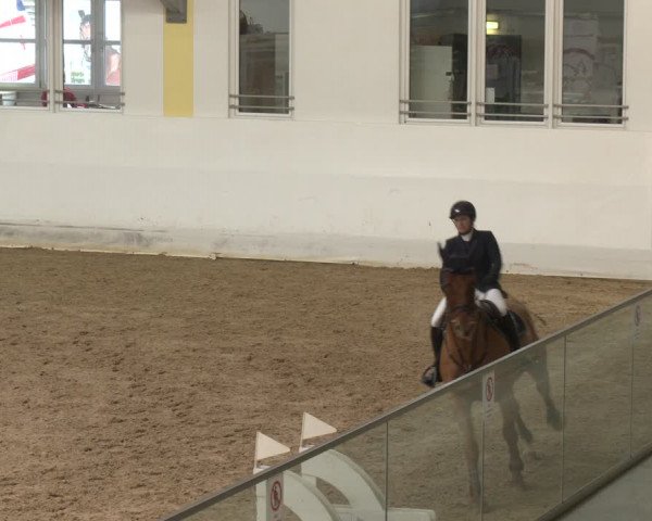 Reitturnier Stadl-Paura 2024