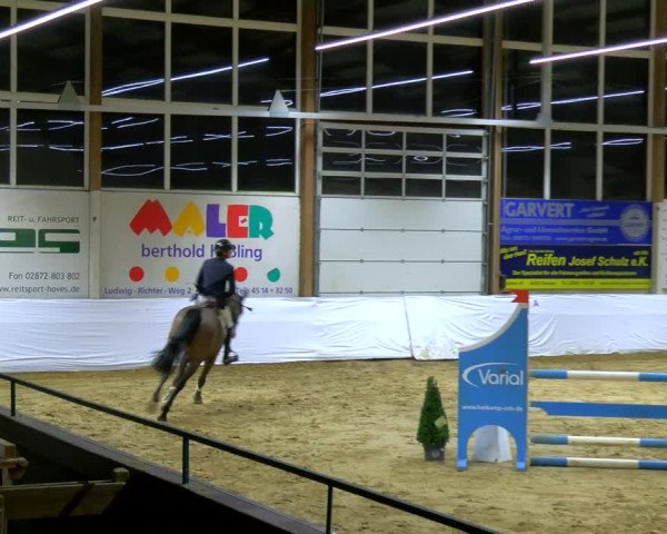 Reitturnier Borken 2024