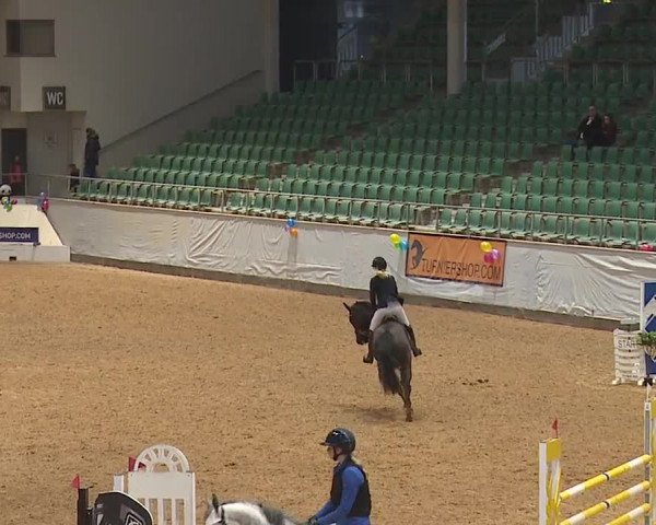 Reitturnier Kreuth/Opf. 2024