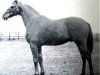 horse Spartan General xx (Thoroughbred, 1959, from Mossborough xx)