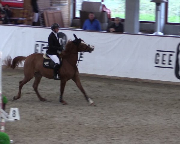 Reitturnier Prussendorf 2024