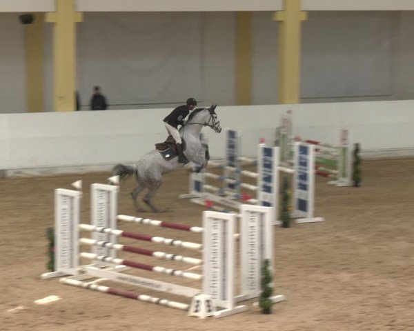 Reitturnier Stadl-Paura 2024