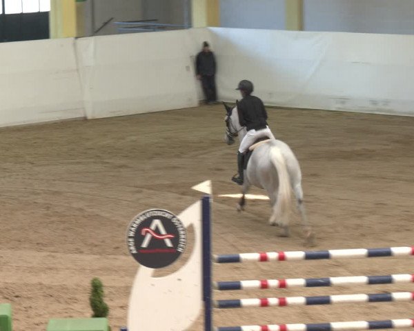 Reitturnier Stadl-Paura 2024