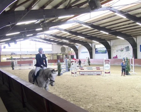 Reitturnier Viernheim 2024