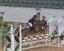 jumper Tabita Piccalo (Welsh-Pony (Section B), 2003, from Tabita Show Time)