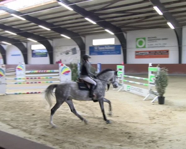 Reitturnier Viernheim 2024