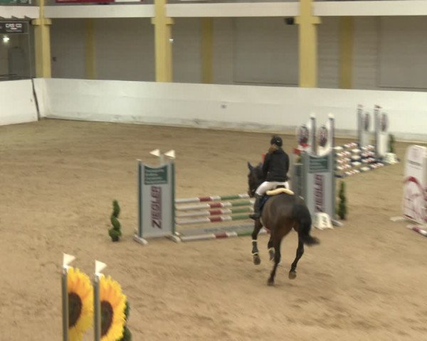 Reitturnier Stadl-Paura 2024