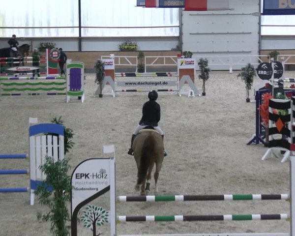 Reitturnier Borken 2024