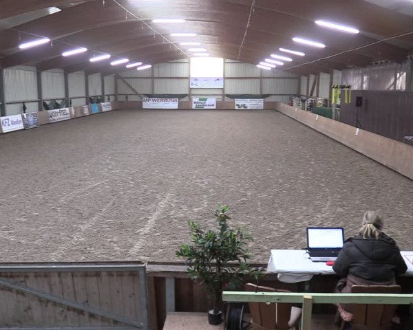 Reitturnier Hesel 2024