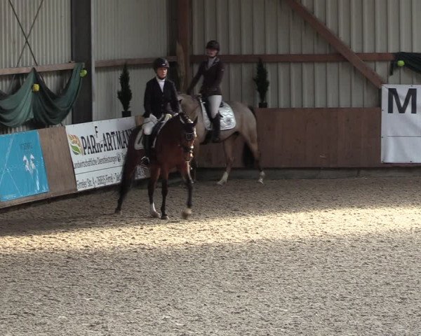 Reitturnier Hesel 2024