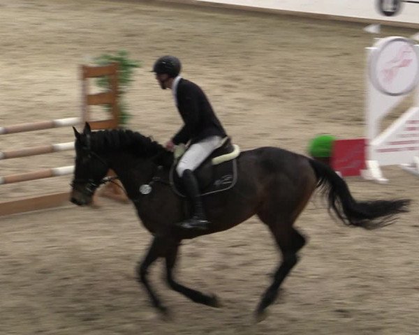 Reitturnier Prussendorf 2024