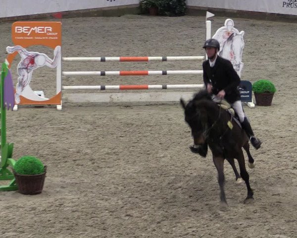Reitturnier Prussendorf 2024