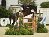 jumper Conthargran (Oldenburg show jumper, 2011, from Conthargos)