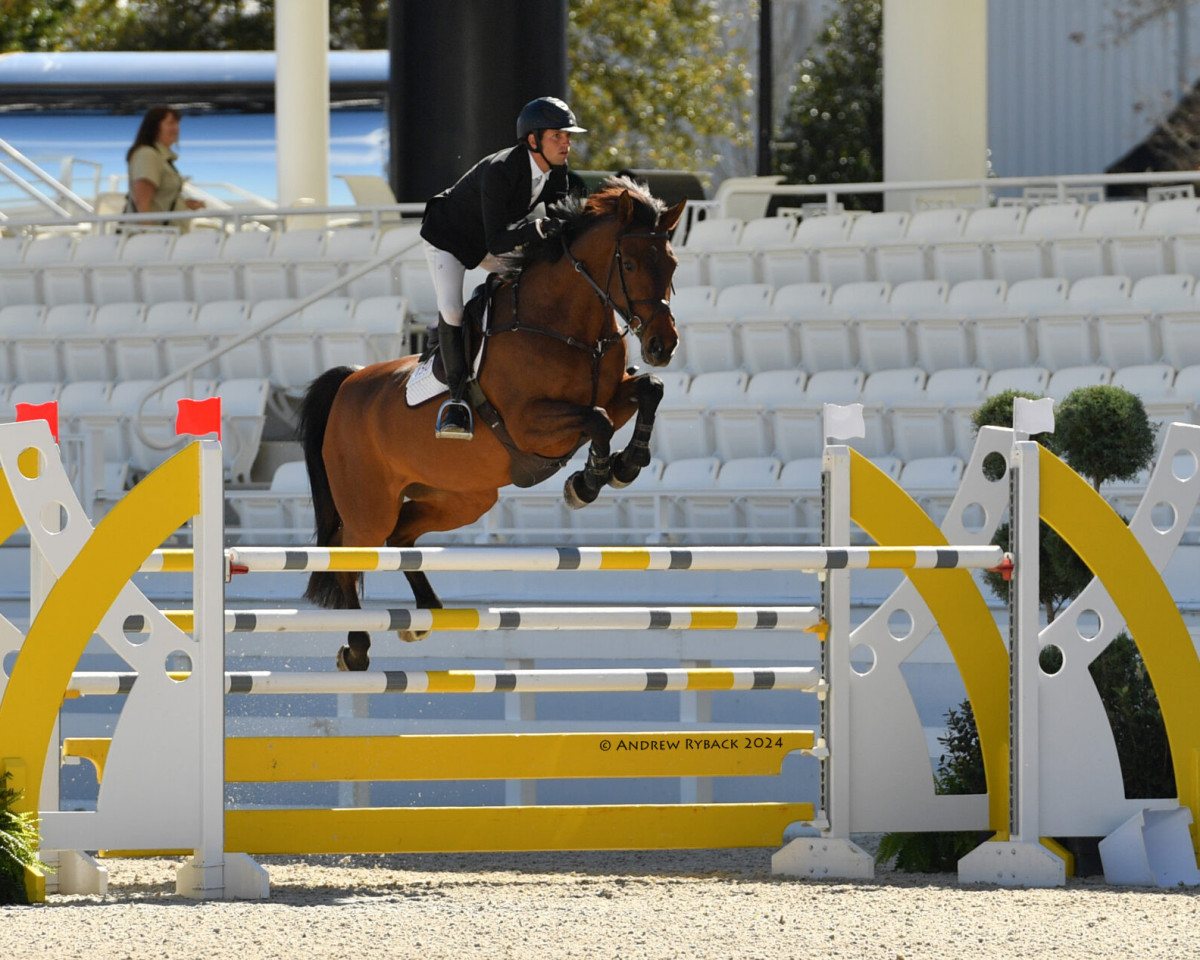 broodmare Hakini (KWPN (Royal Dutch Sporthorse), 2012, from Numero Uno)