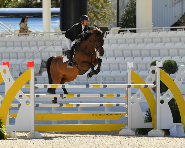 broodmare Hakini (KWPN (Royal Dutch Sporthorse), 2012, from Numero Uno)
