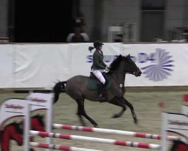 Reitturnier Prussendorf 2024