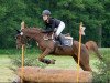 jumper Roxette 162 (German Riding Pony, 2014, from Oosteinds Ricky)