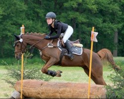 jumper Roxette 162 (German Riding Pony, 2014, from Oosteinds Ricky)