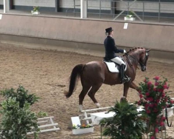 Alt Marl 2011
