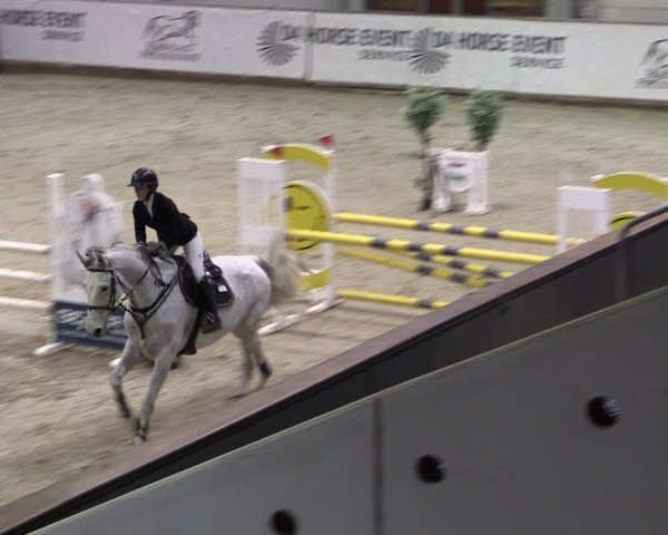 Reitturnier Prussendorf 2024