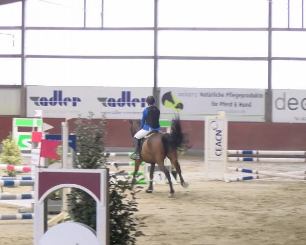 Reitturnier Viernheim 2024