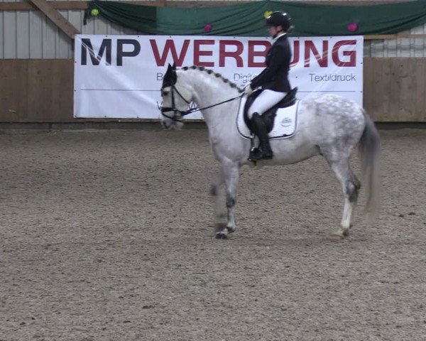 Reitturnier Hesel 2024