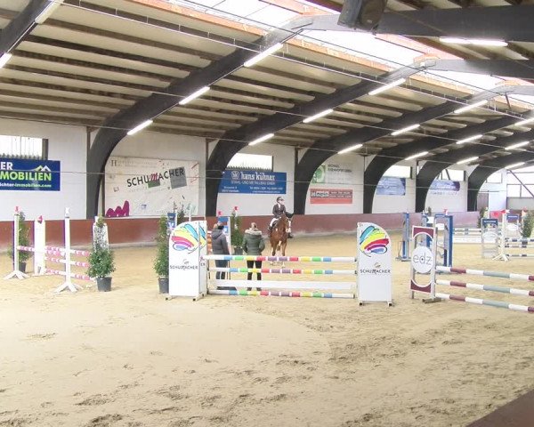 Reitturnier Viernheim 2024