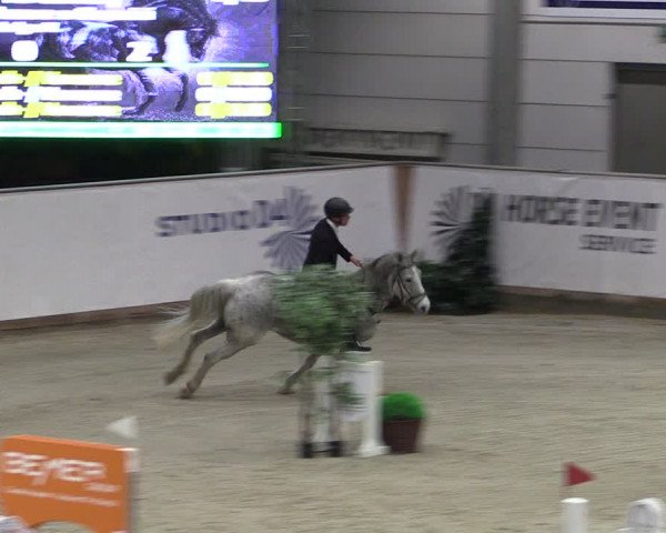 Reitturnier Prussendorf 2024